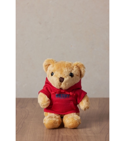 HKUST Mini Bear Keychain - Hoodie